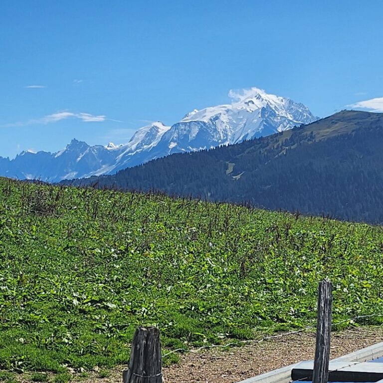 🗓 🚵🚴Séjour Codep à Annecy 2024 Vendredi